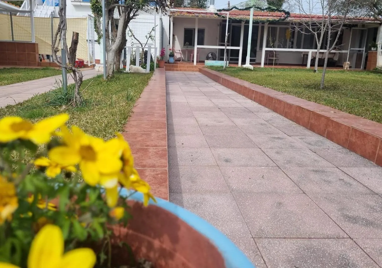 Penzion Roni'S Place Nea Kallikrateia